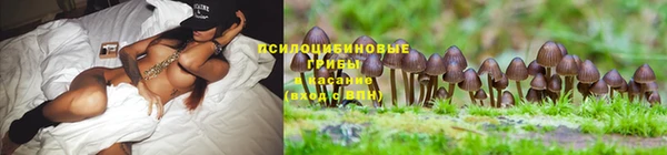 MESCALINE Коряжма
