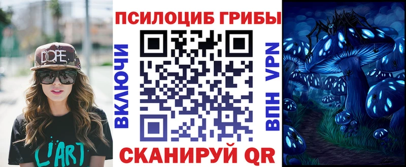 Галлюциногенные грибы прущие грибы  магазин продажи наркотиков  Севастополь 